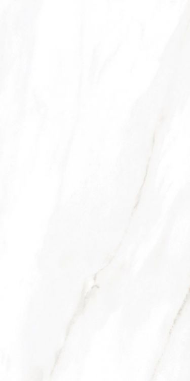 EC Calacatta Gold Polished 2nd Choice (Bowed but within Industry Standard) 12 x 24